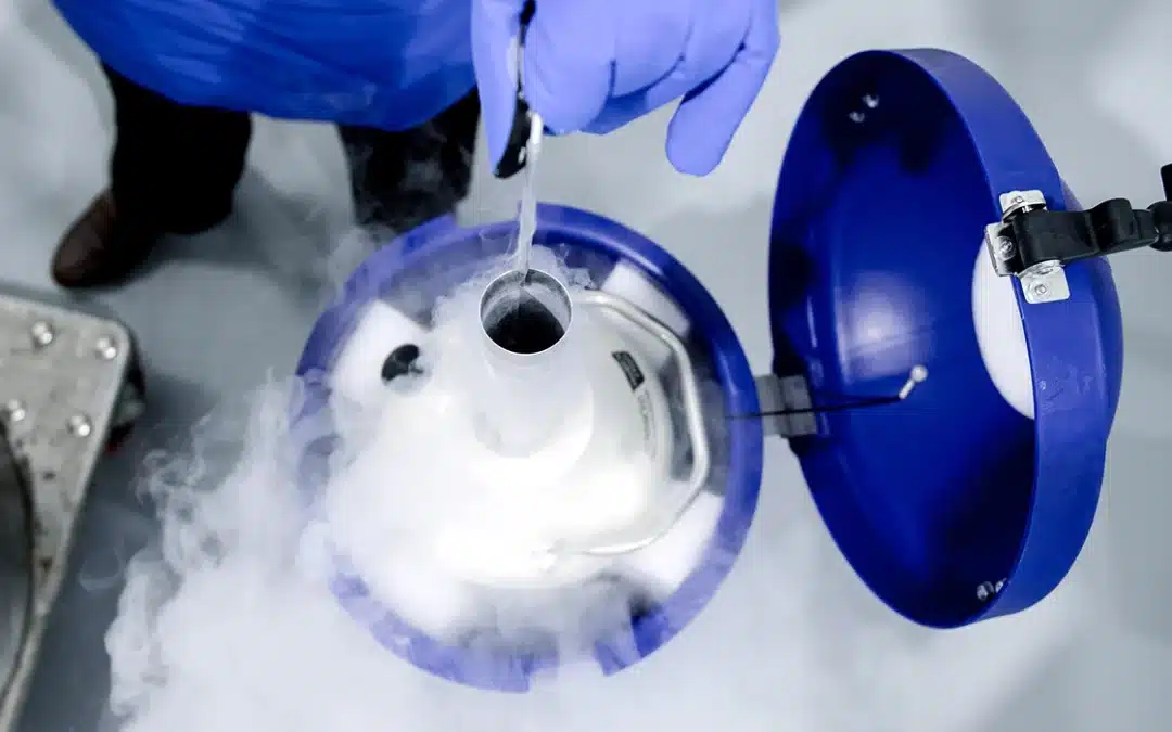 Understanding Cryopreservation: How Cold is “Cold”?